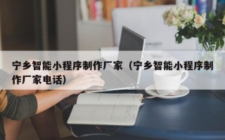 商洛宁乡智能小程序制作厂家（宁乡智能小程序制作厂家电话）