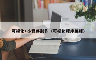商洛可视化+小程序制作（可视化程序编程）